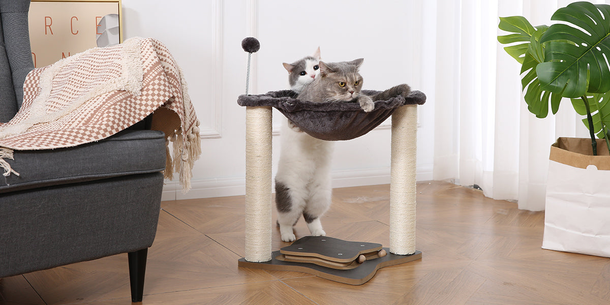 Petfamily-Cat-Hammock-Blog-1-1200*600