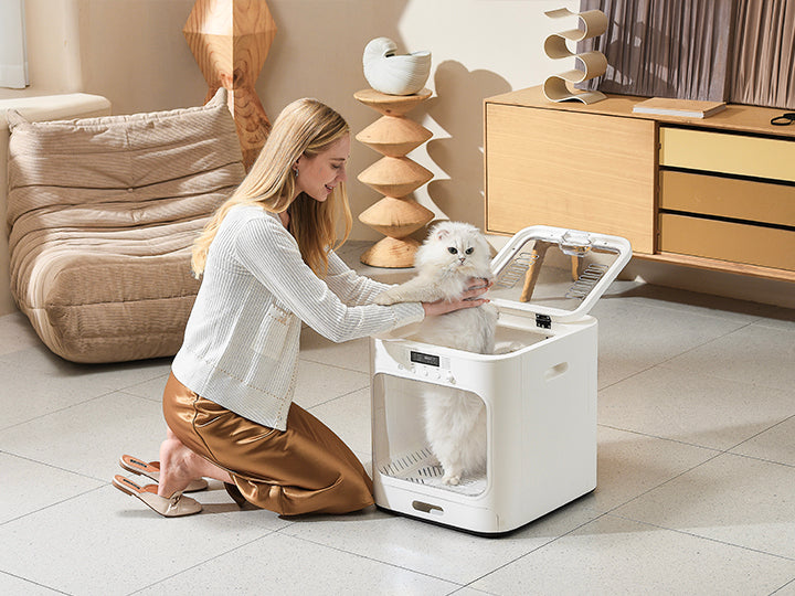 Petliking Blog - Pet Marvel Top Picks!