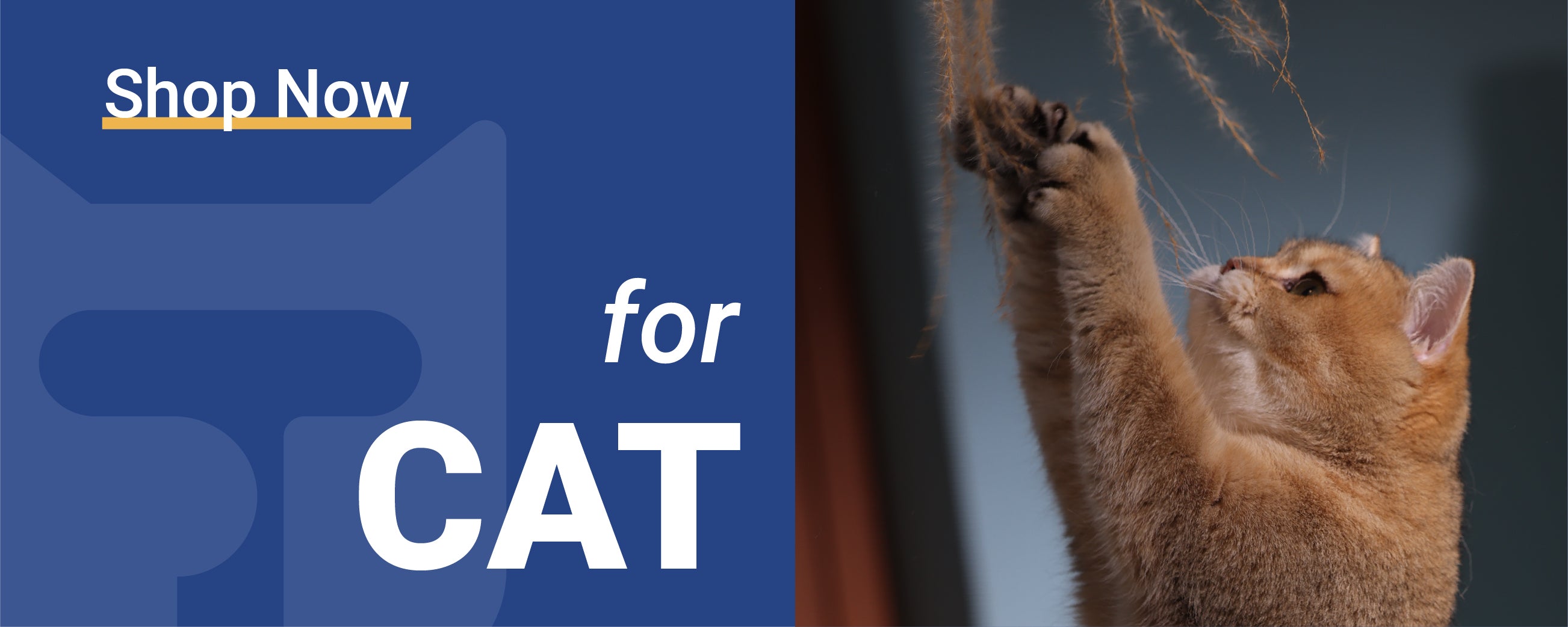 cat insanity answer key