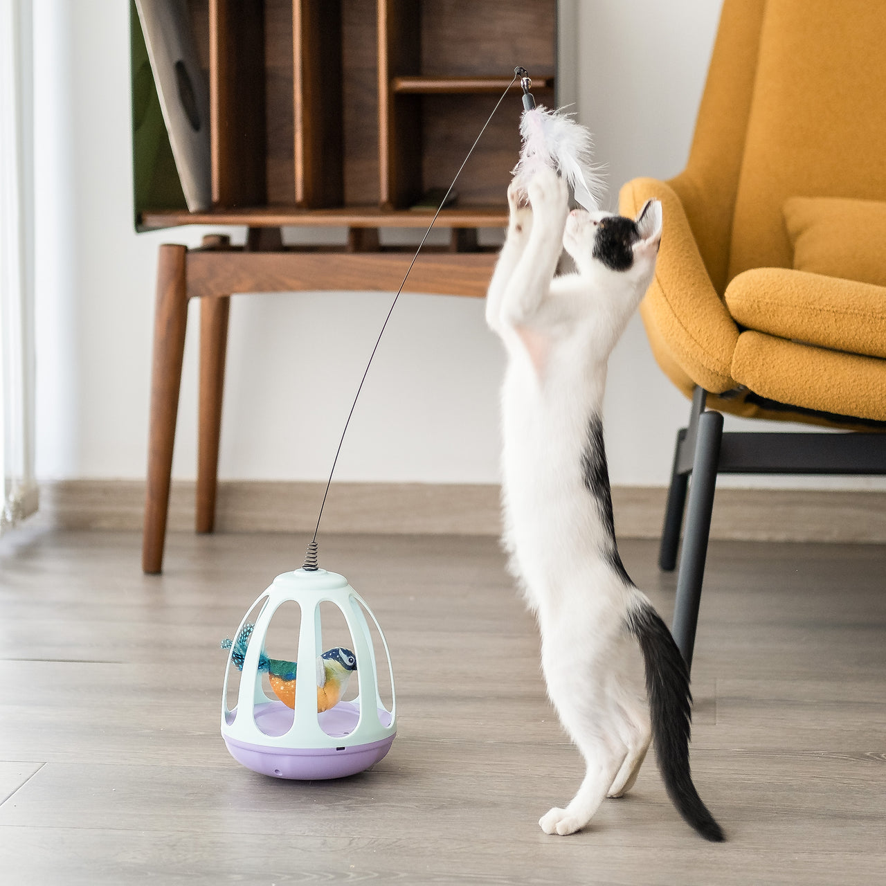 Birdcage Cat Teaser Toy