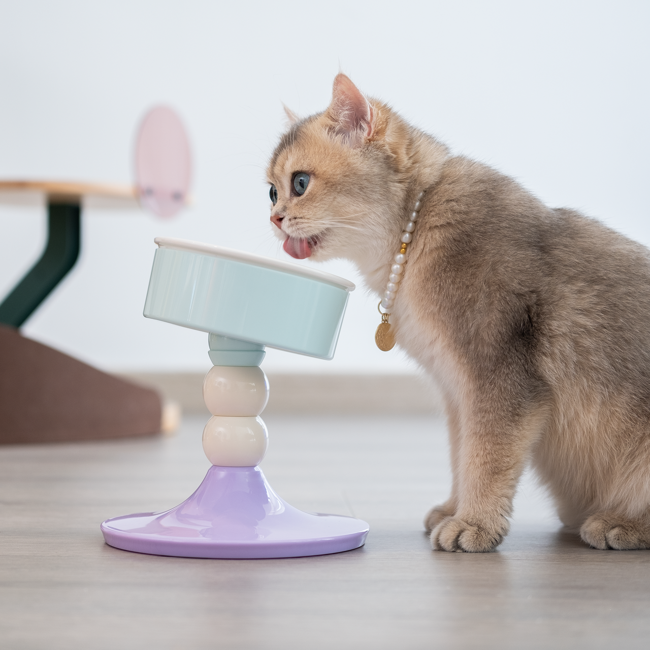Well Fit Table Pet Bowl Stand