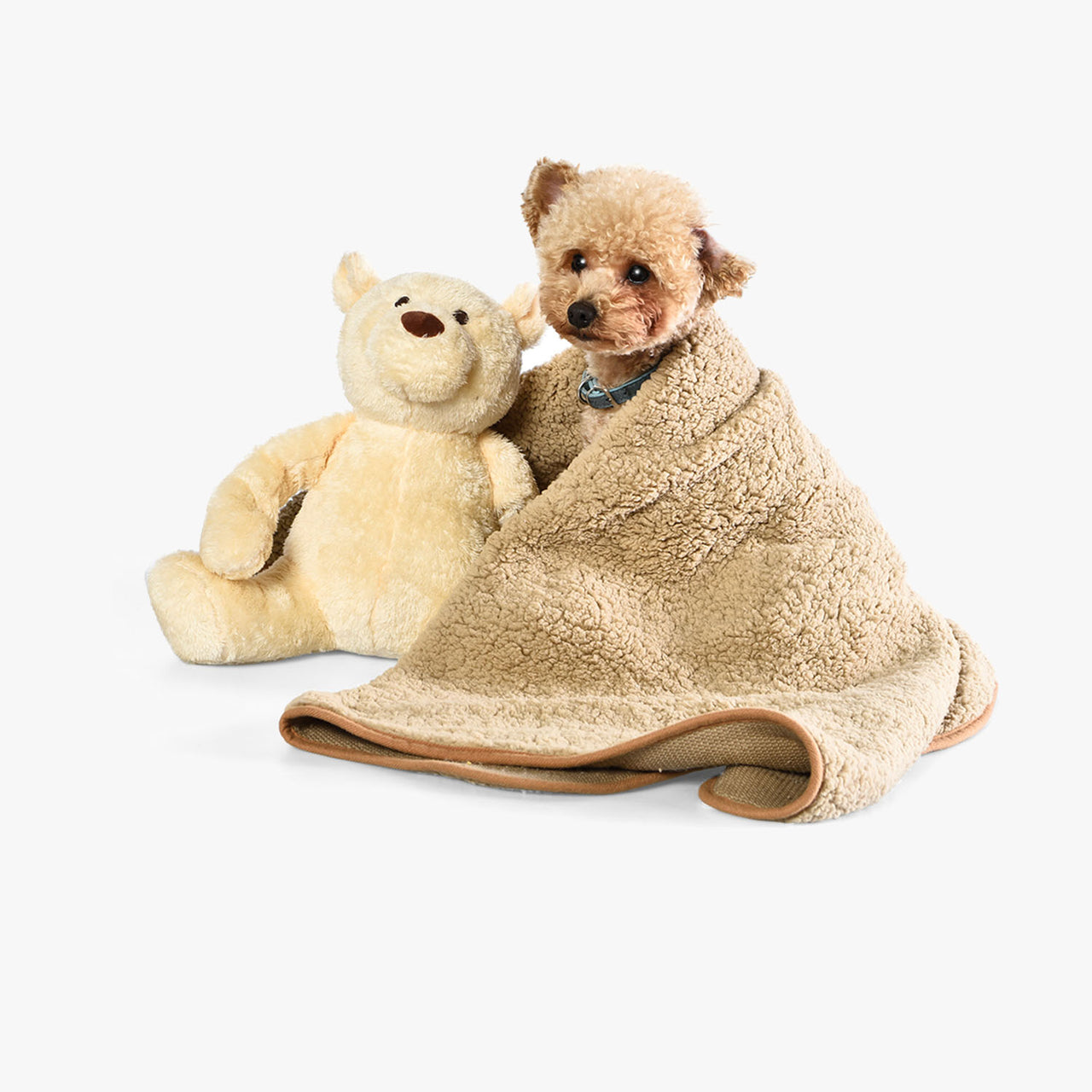 Huggy Bear Heartbeat Dog Plush Toy & Blanket - EARTHY PAWZ