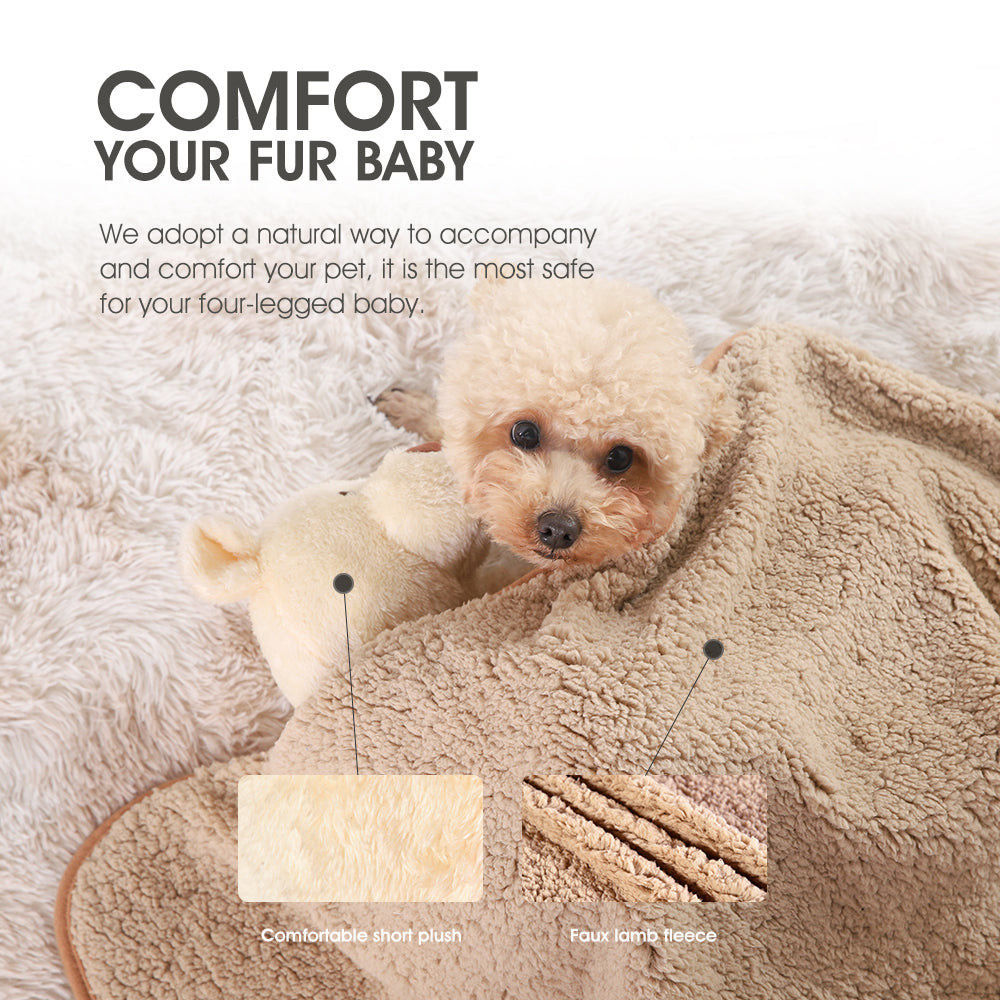 Huggy Bear Heartbeat Dog Plush Toy & Blanket - EARTHY PAWZ