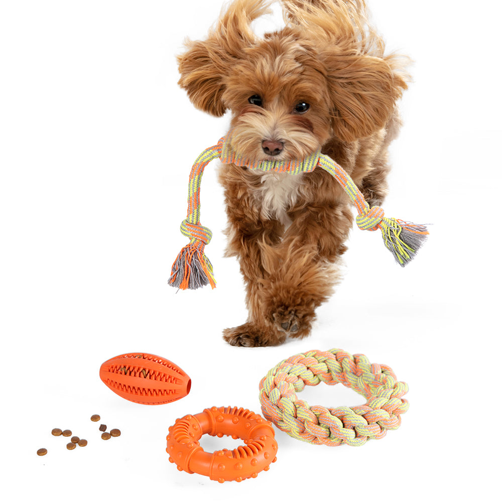 Dog Toy Set, 4pcs - EARTHY PAWZ