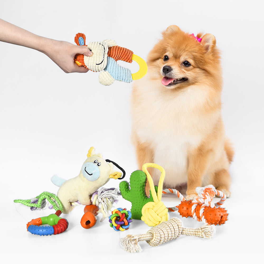 Puppy Toy Set, 9 pcs - EARTHY PAWZ