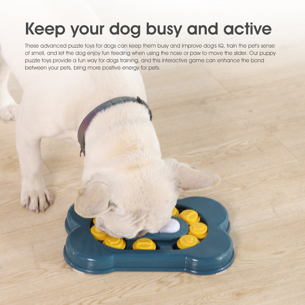 Interactive Feed & Fun Bundle A