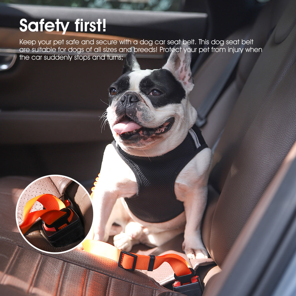 Car Safety Belts & Folded Pet Bowl - EARTHY PAWZ