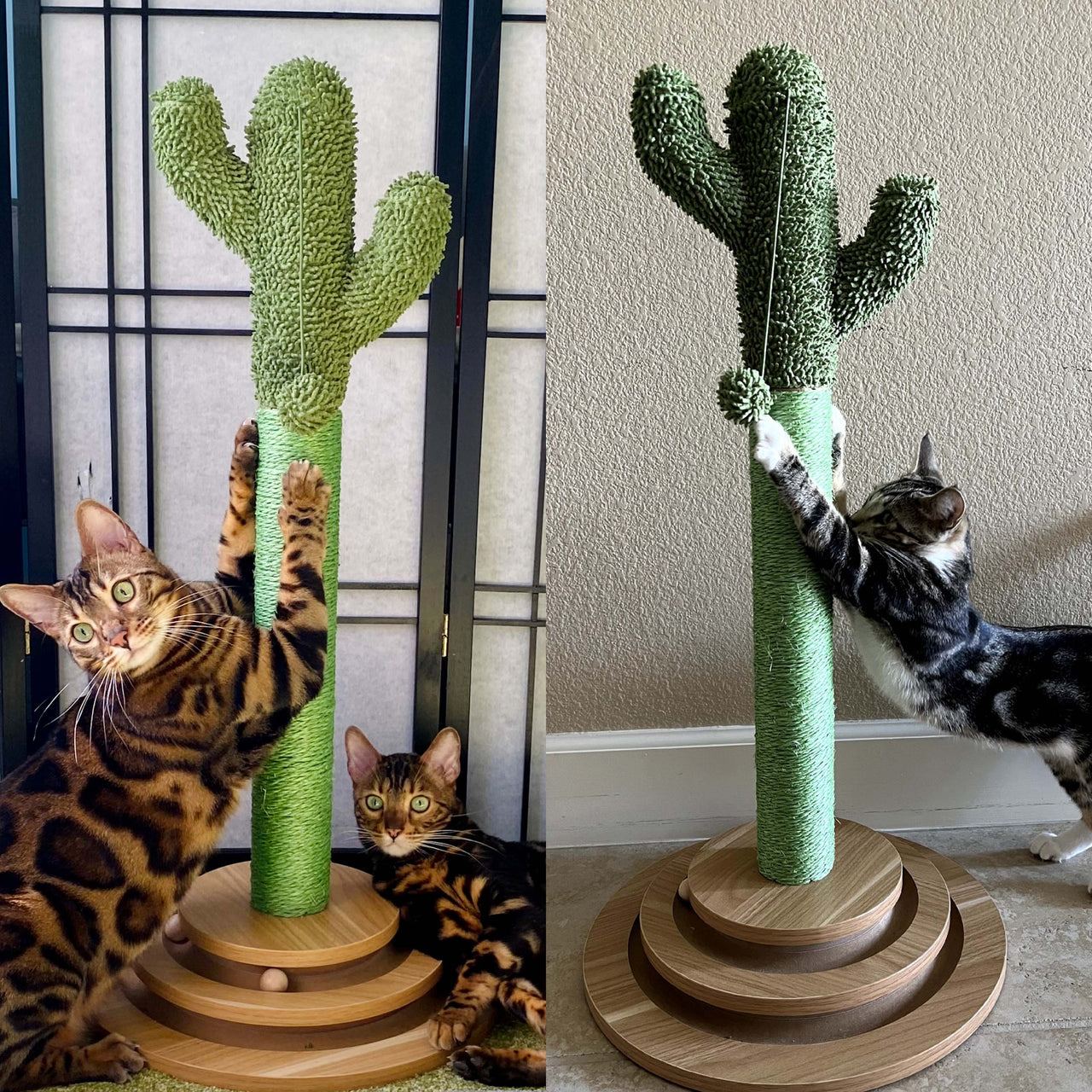 2 in 1 Cat Scratching Post with Ball Track Toy