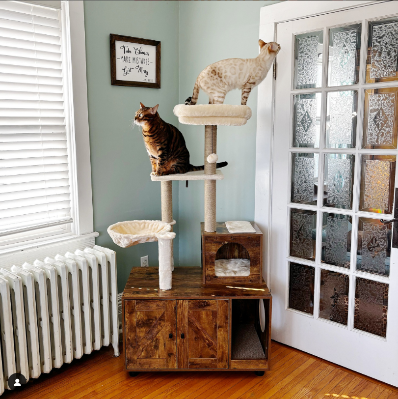 2-in-1 58" Cat Litter Box Enclosure with Cat Tree