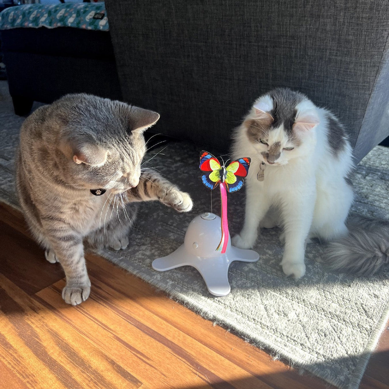 Leaps & Bounds Electric Flutter Butterfly Cat Toy