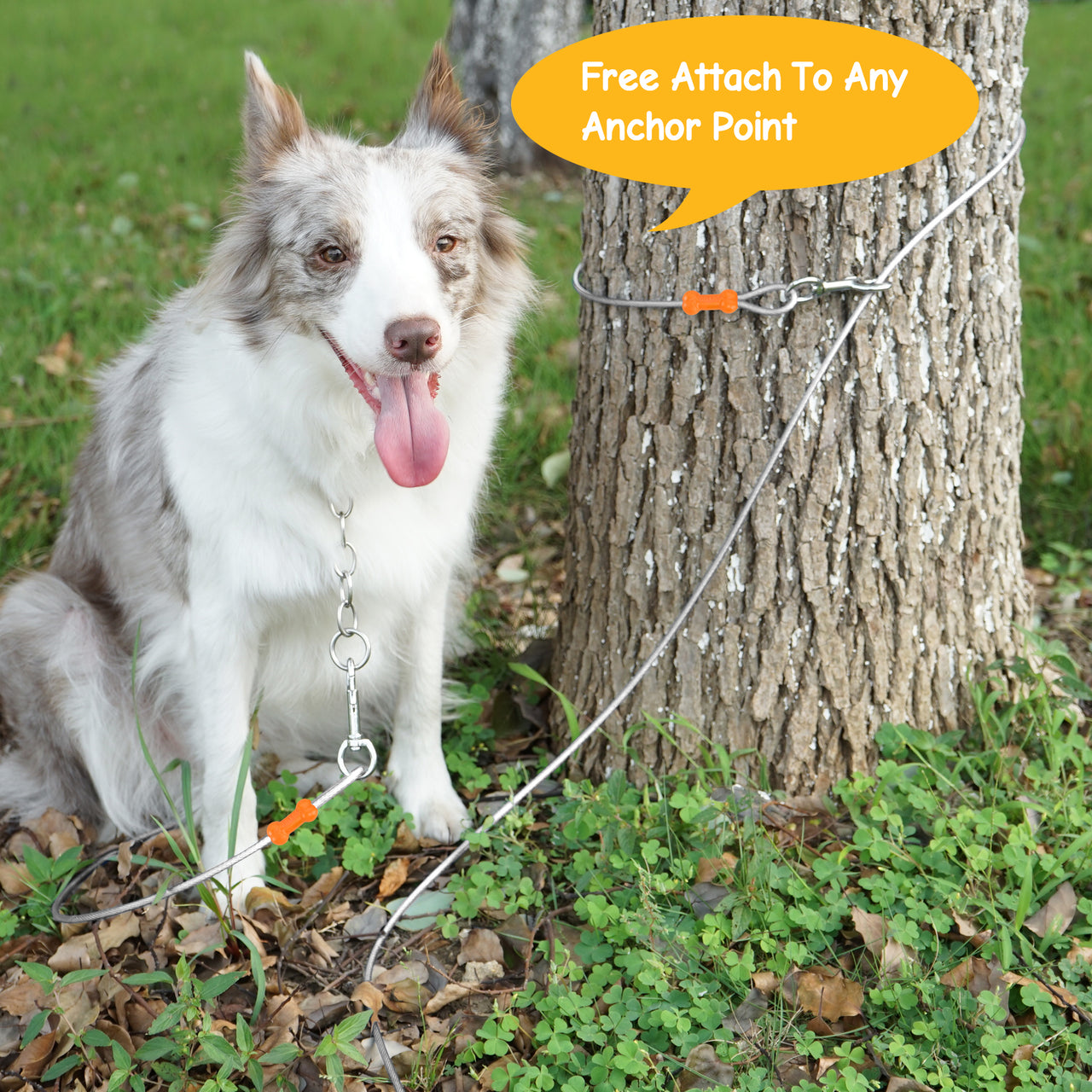 Reflective Vinyl-Covered Dog Tie Out Cable