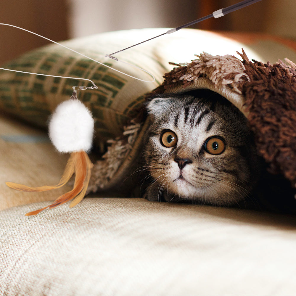 Fishing Cat Wand Toy with 4 Pieces Feather Heads