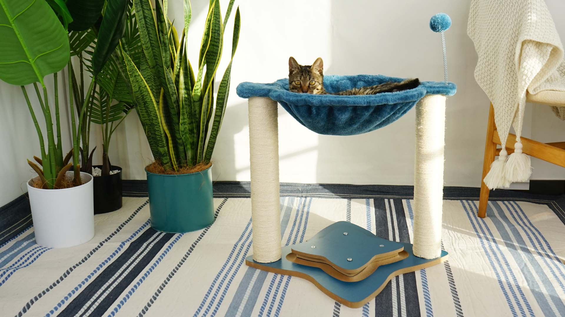 Petliking Blog - Pamper Your Feline Friends: Top Cat Furniture Picks for Christmas 2023