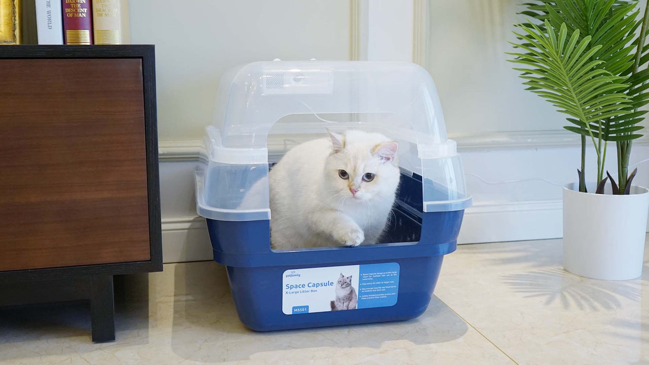 Petliking Blog The Importance of Multiple Litter Boxes in MultiCat