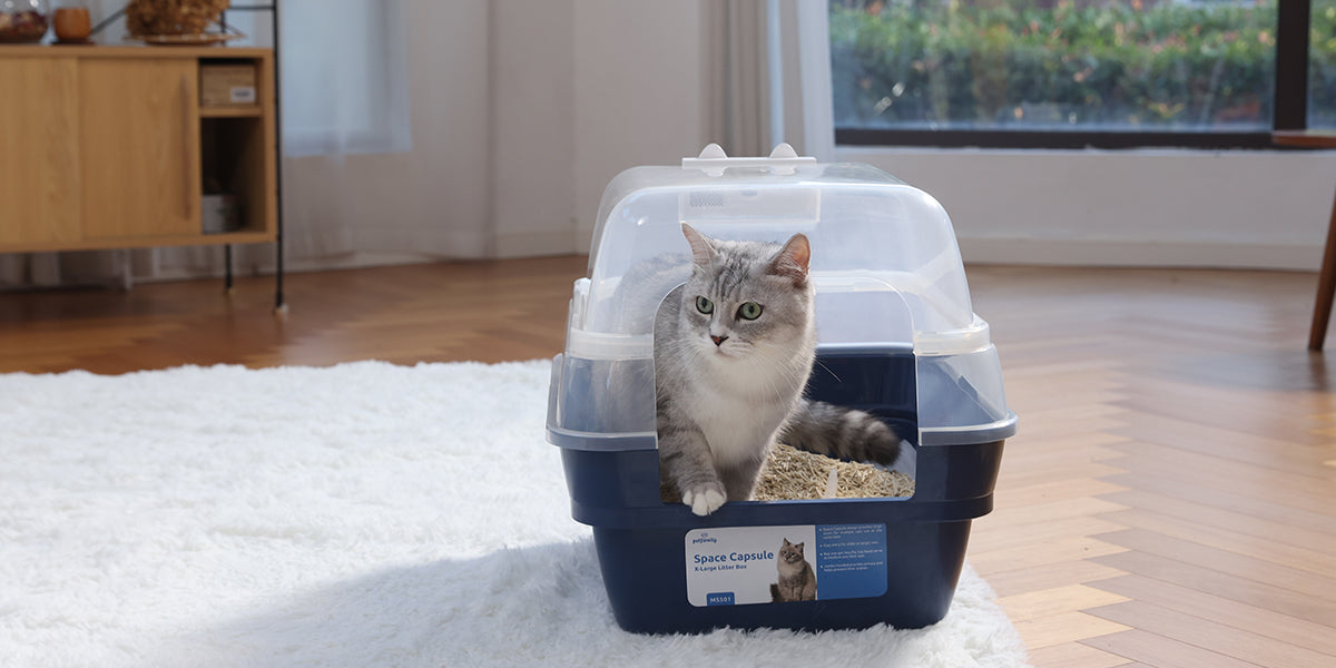 Petfamily_Deodorizing_Cat_Litter_Box_1200*600_Blog_1