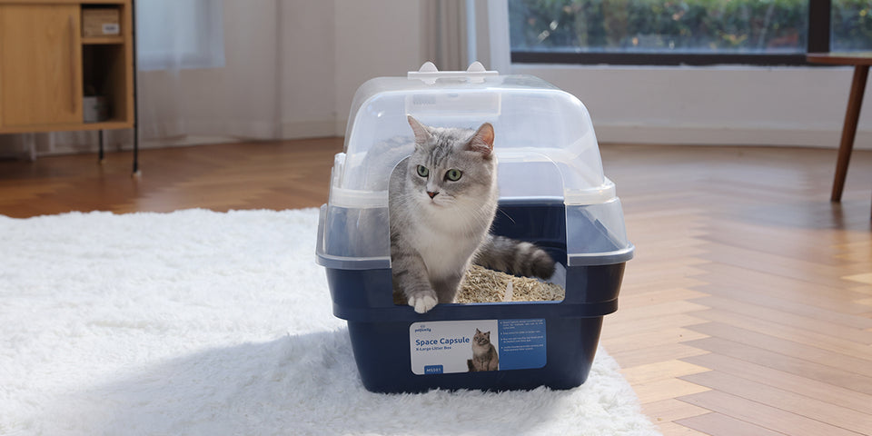 Petliking Blog - How to Teach a Kitten to Use the Litter Box: A Guide Featuring the Petfamily Space Capsule Litter Box