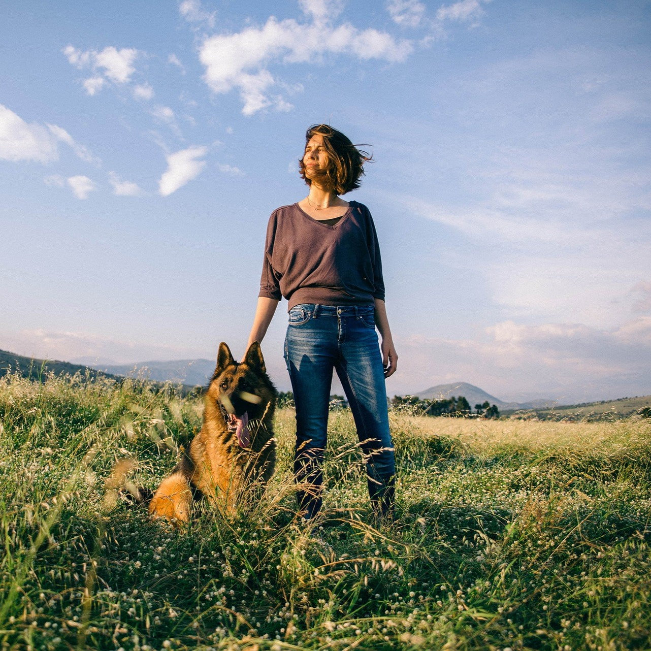 Petliking Blog - How Does Your Dog Show Happiness? Decoding Your Pup's Emotions