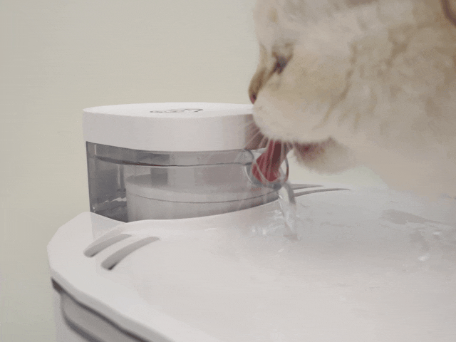 Best Pet Water Fountain Water Filters Removes Hair