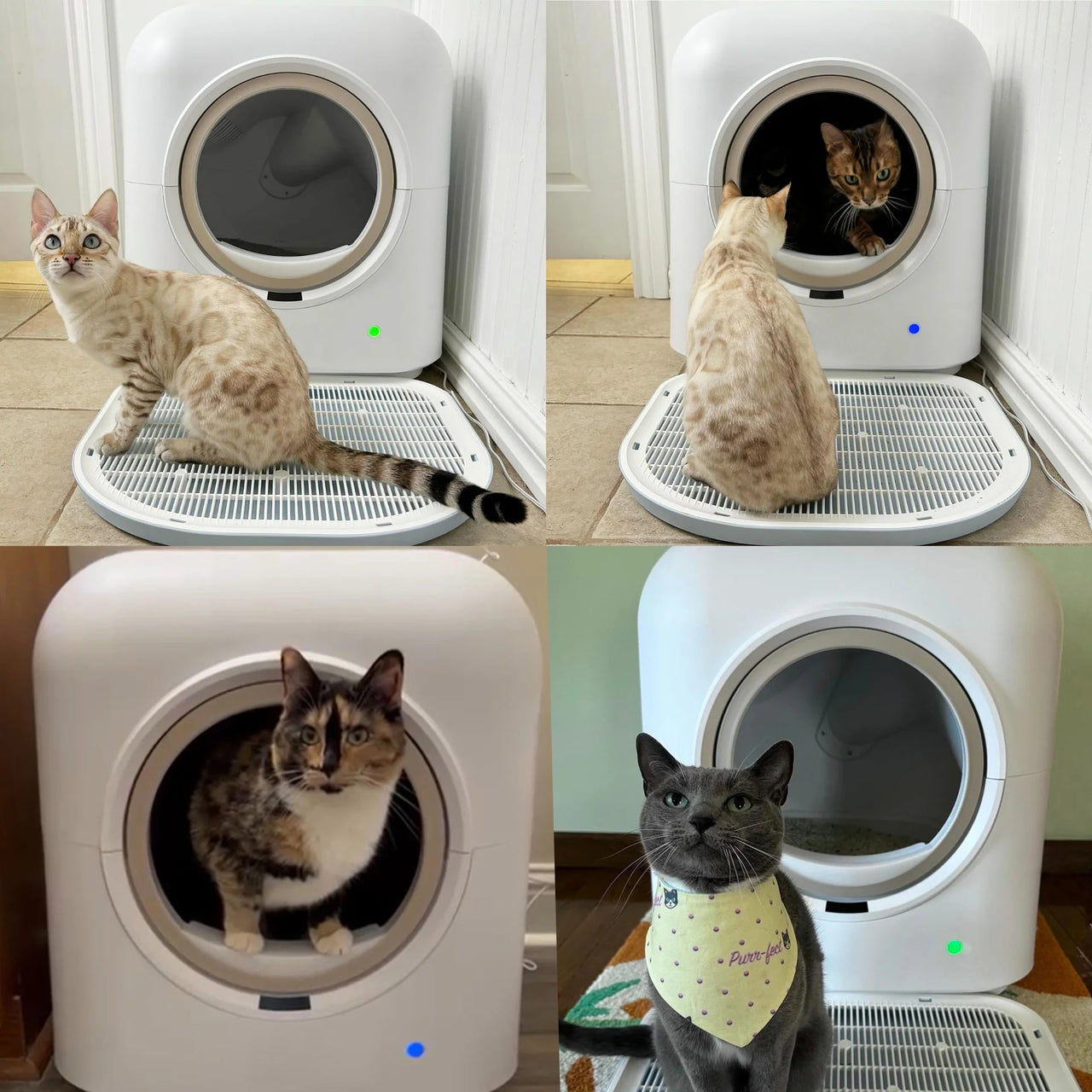 Automatic Cat Litter Box