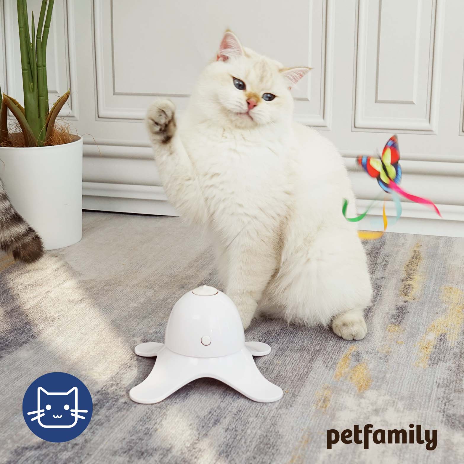 Leaps and bounds shop butterfly cat toy