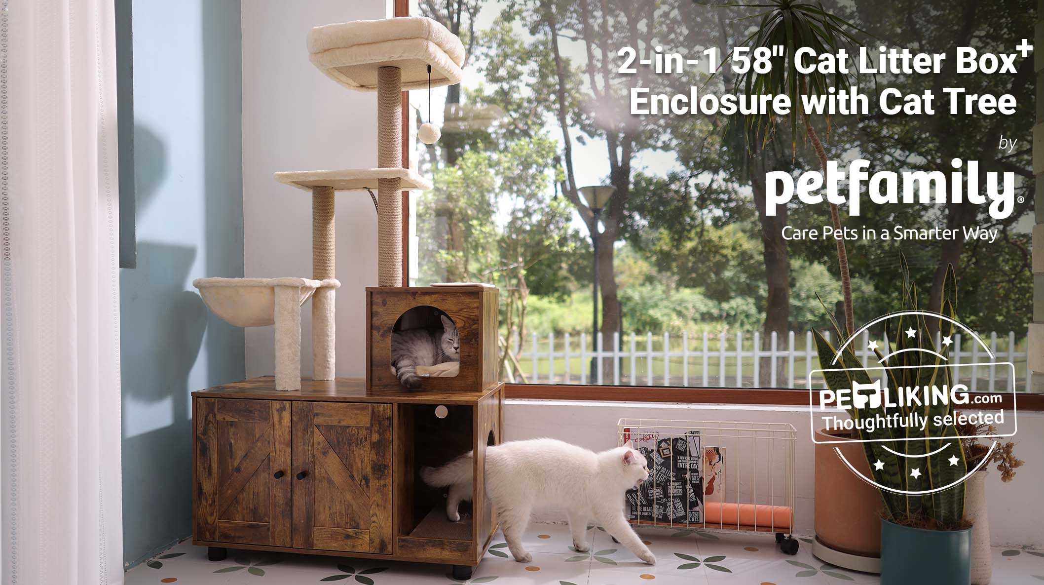 PREVUE PREM tavi CAT HOME