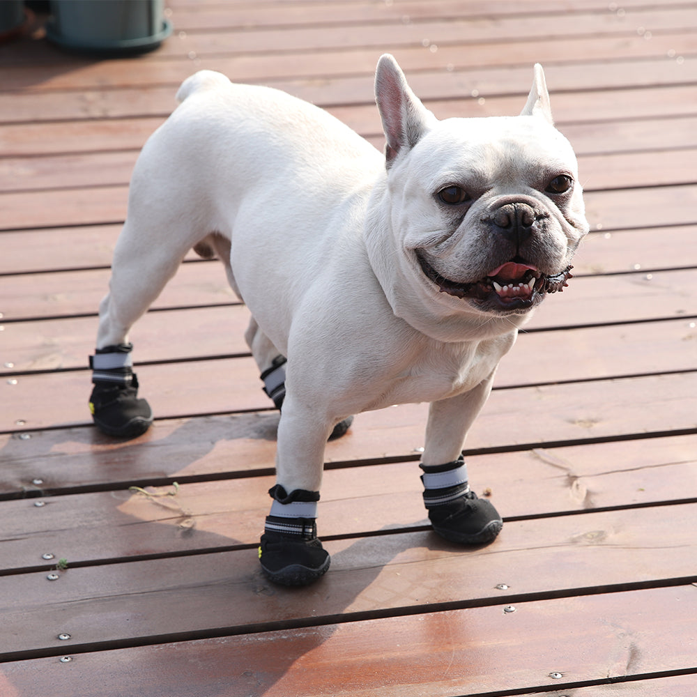 Dog Shoes Set 4 pcs EARTHY PAWZ