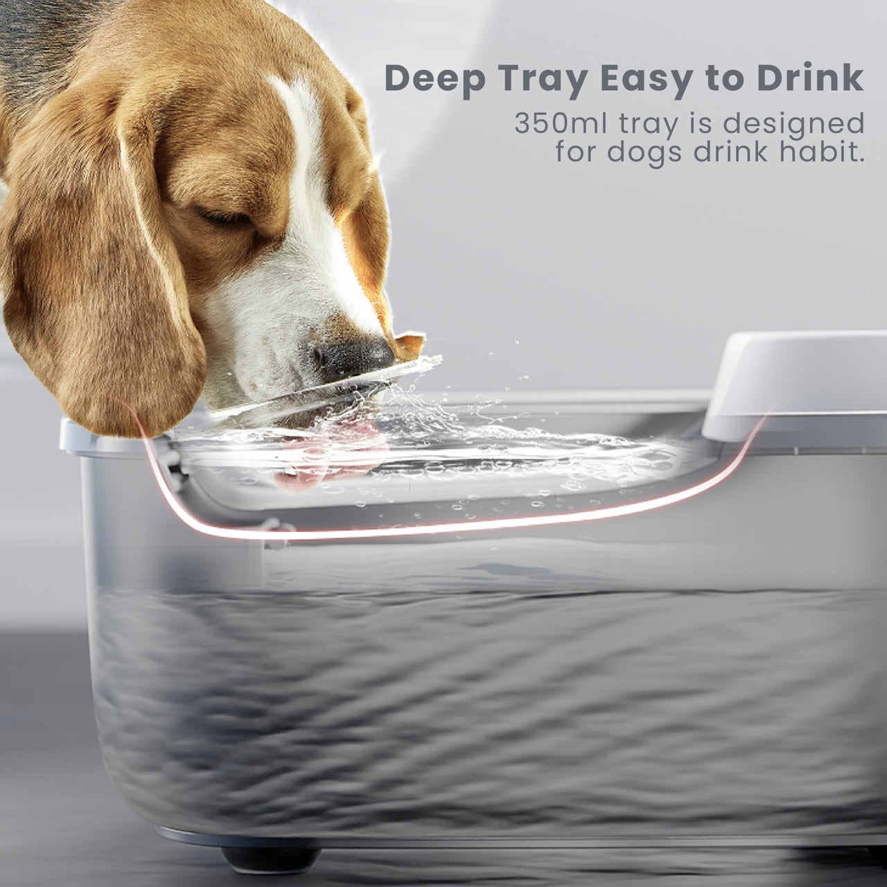 Automatic Dog Water Fountain - Pet Marvel