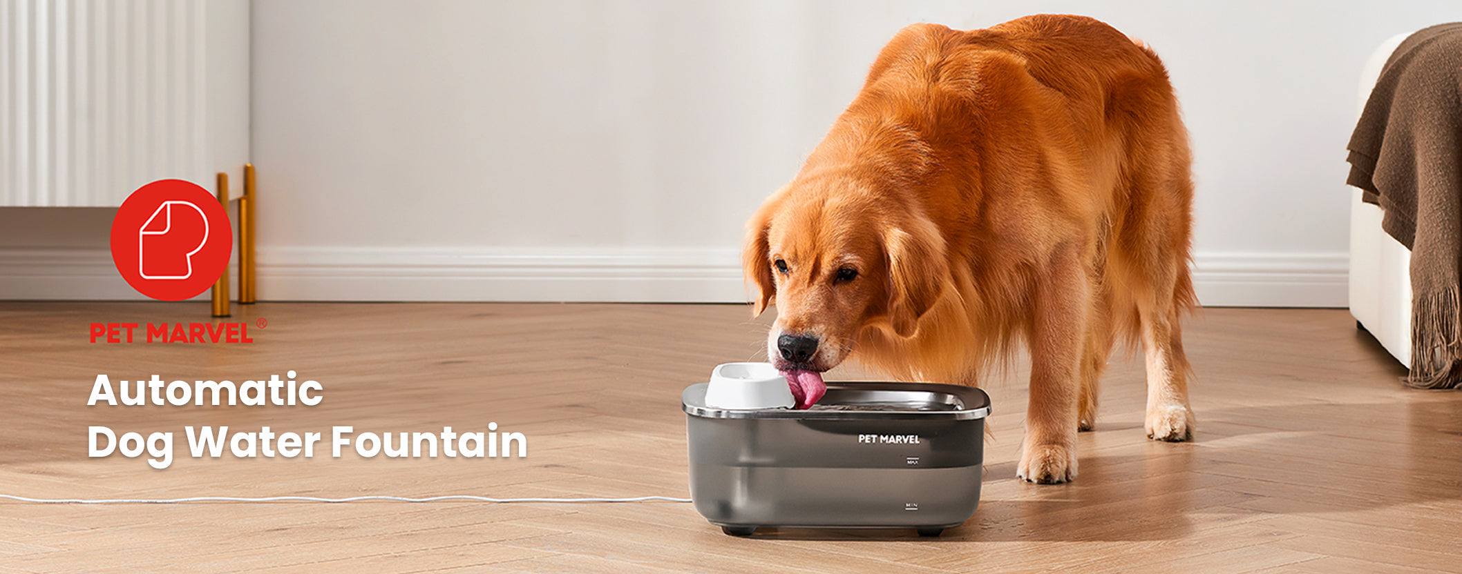 Automatic dog water fountain hotsell