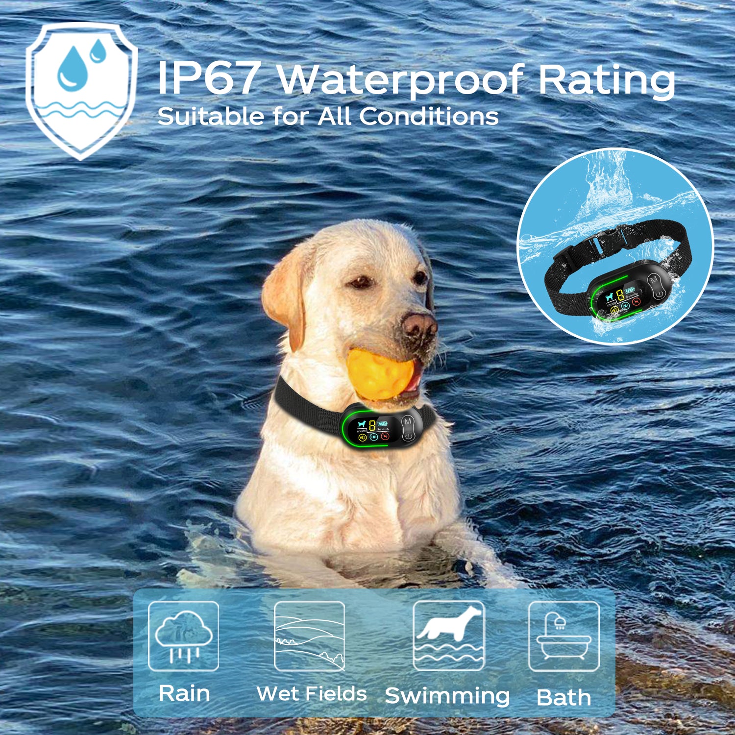 Best shock 2025 collar for labrador