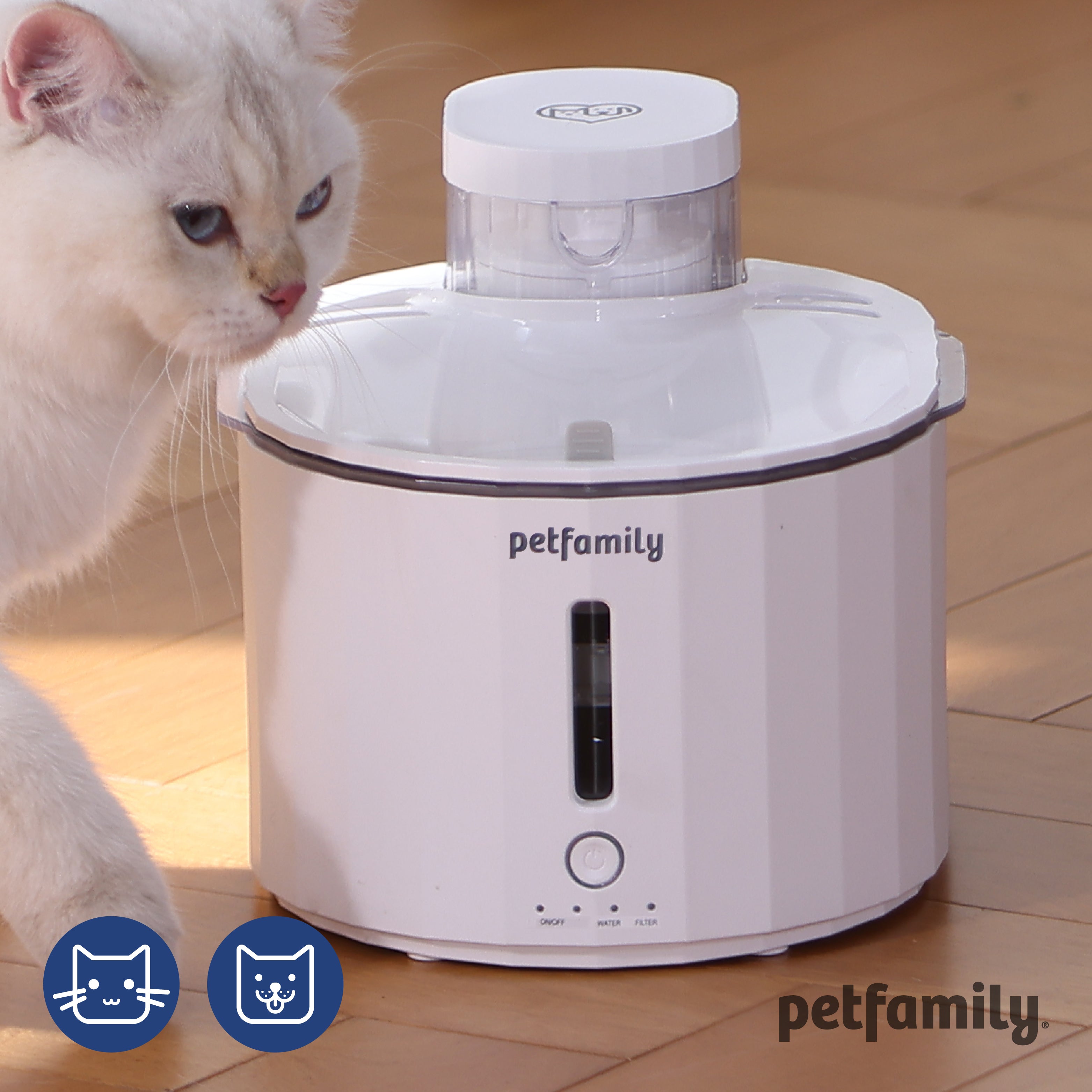 Filtered pet water fountain hotsell