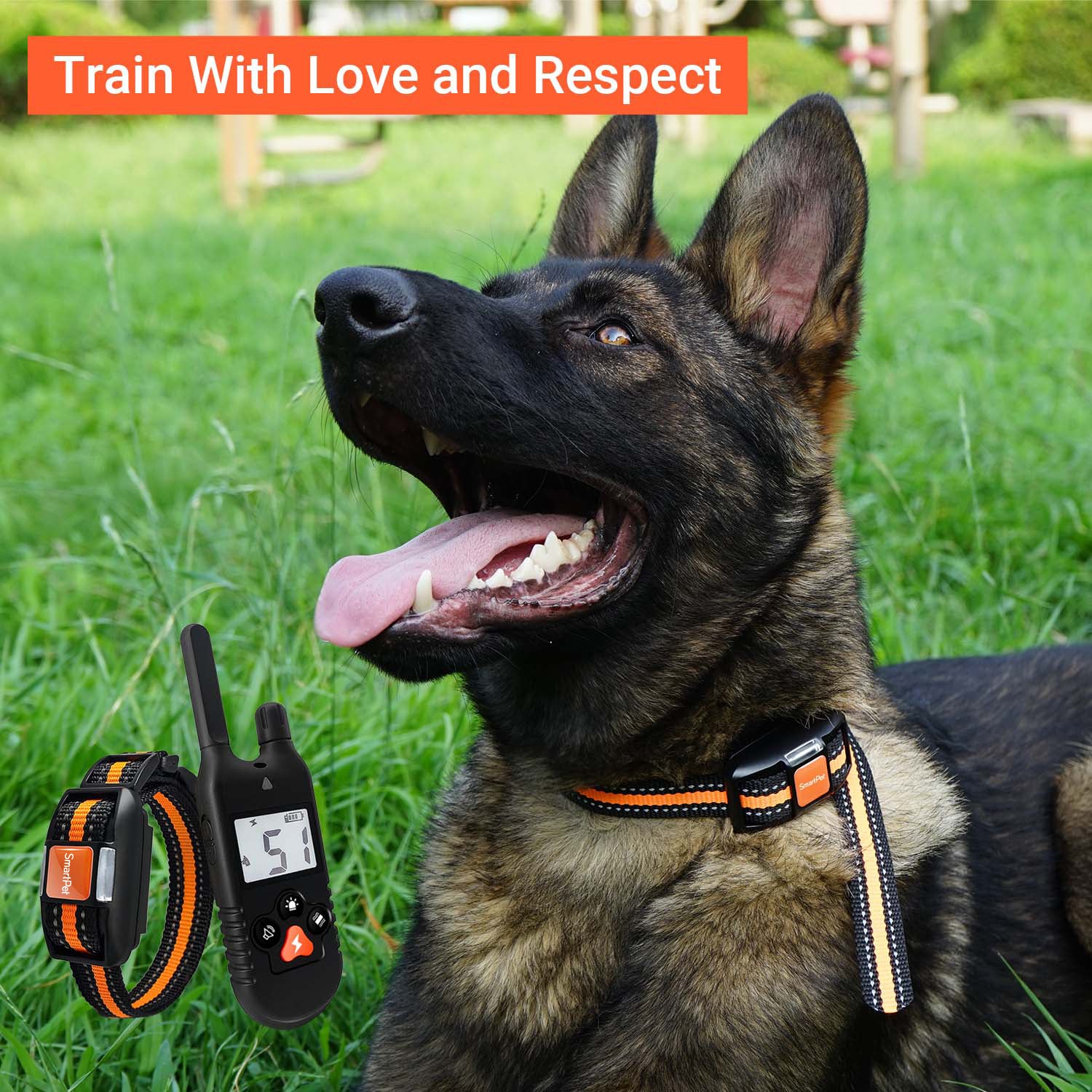 best shock collar for dogs