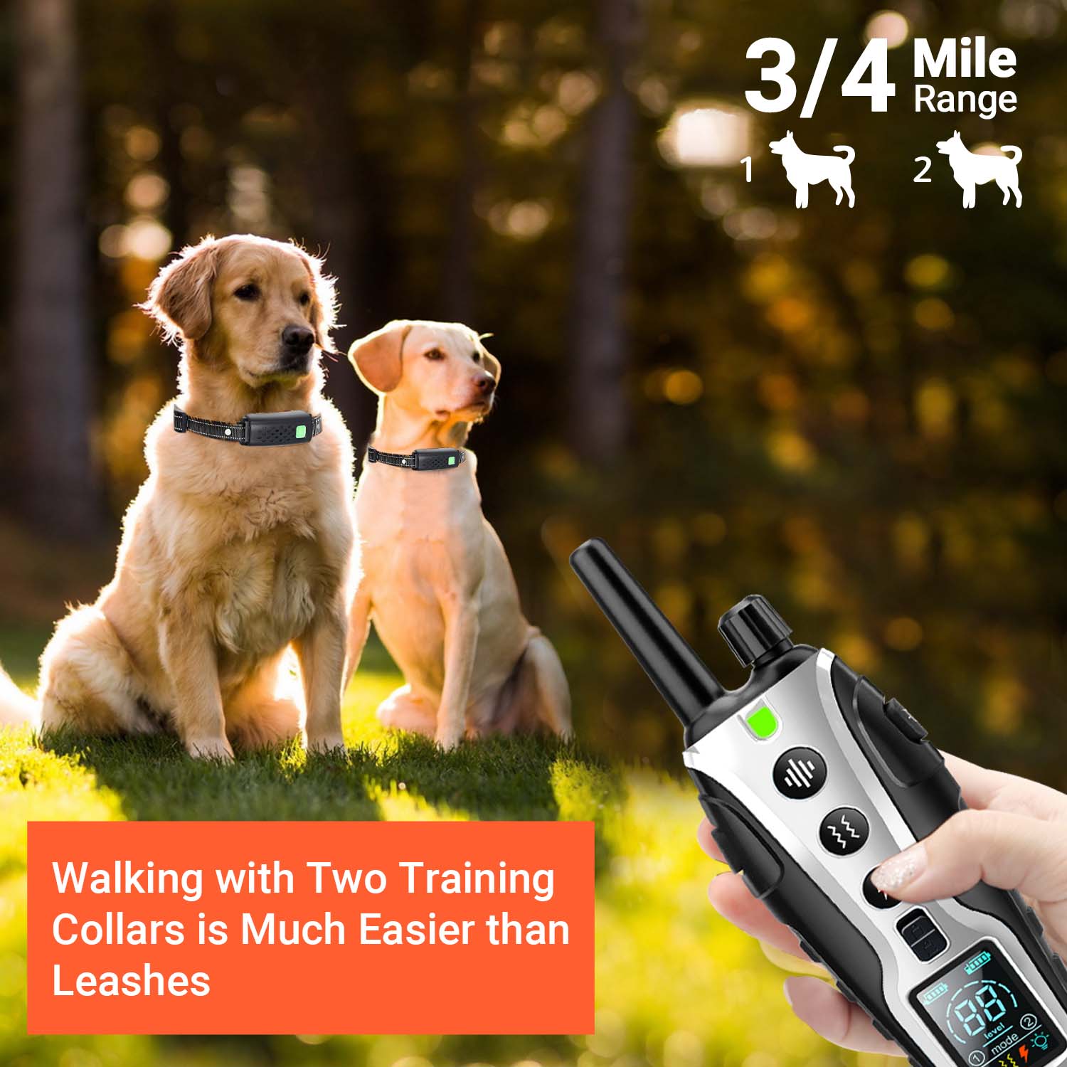 Dog walking training on sale collars