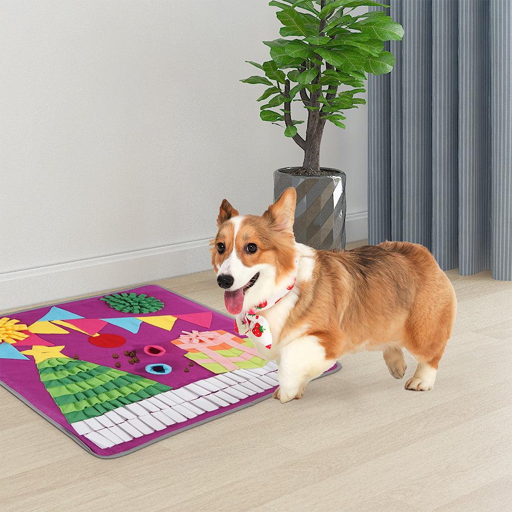Snuffle Mat for Pets 27.5 x 27.5 in - Petphabet