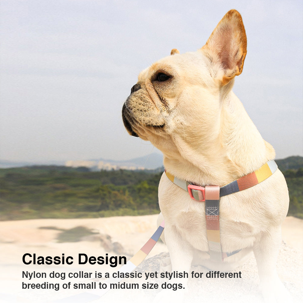 Morandi Dog Leash & Harness & Collar Set - HAMATE