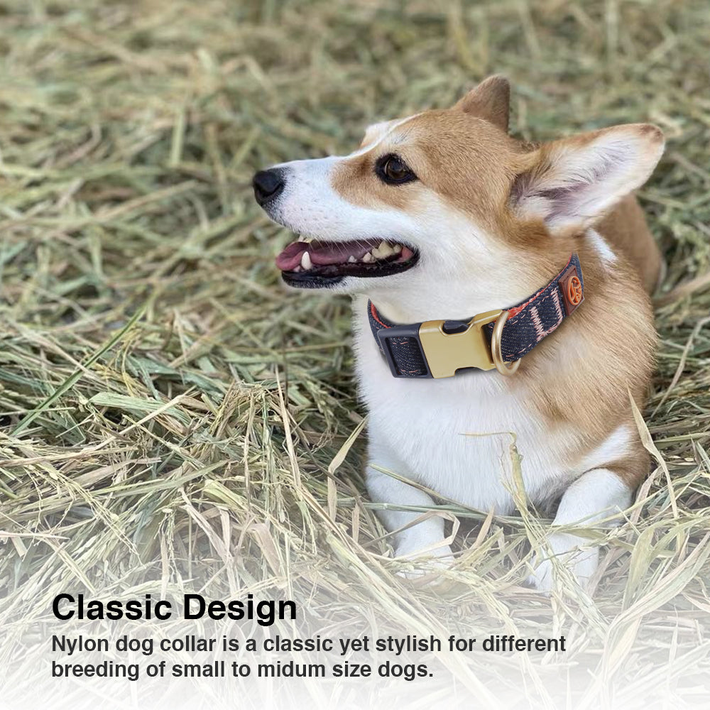 Denim Dog Collar & Leash Set - HAMATE